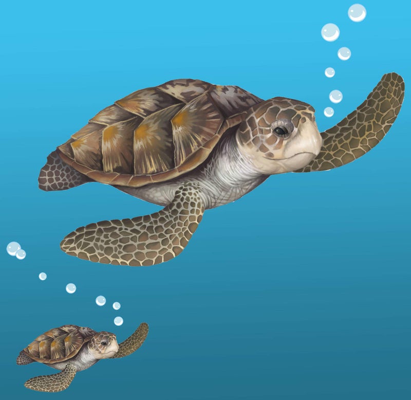 Create-A-Mural Sea Turtle Wall Decal ~Ocean Undersea Animal Tortoise Wall Sticker for Kids Room Decor, Boys Girls Toddler Baby Nursery Bedroom, Playroom, Bathroom, Vinyl Art Gift - Image 2